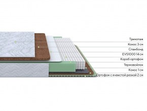 PROxSON Матрас Green Duo M/F (Tricotage Dream) 180x195 в Камышлове - kamyshlov.mebel24.online | фото 2