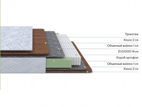 PROxSON Матрас Green F (Tricotage Dream) 160x210 в Камышлове - kamyshlov.mebel24.online | фото 2