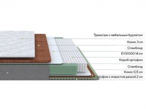 PROxSON Матрас Lux Duo M/F (Non-Stress) 120x200 в Камышлове - kamyshlov.mebel24.online | фото 3