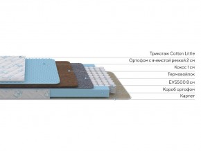 PROxSON Матрас Совенок (Cotton Little PROSON) 60x190 в Камышлове - kamyshlov.mebel24.online | фото 2