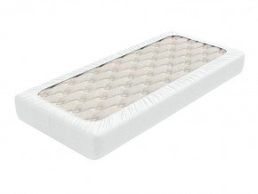 PROxSON Защитный чехол Aqua Save Light M (Ткань влагостойкая Tencel Jersey) 200x210 в Камышлове - kamyshlov.mebel24.online | фото 2