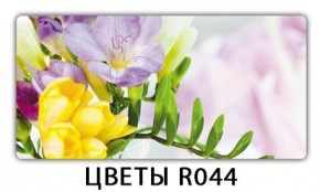 Раздвижной СТ Бриз орхидея R041 Цветы R044 в Камышлове - kamyshlov.mebel24.online | фото 16