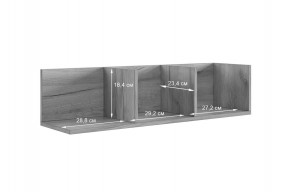 РИЧ Полка навесная 2 в Камышлове - kamyshlov.mebel24.online | фото 3