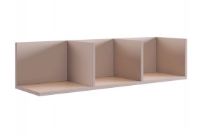 РИЧ Полка навесная 2 (кашемир) в Камышлове - kamyshlov.mebel24.online | фото