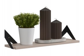 РИЧ Полка навесная в Камышлове - kamyshlov.mebel24.online | фото 3