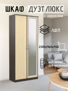 Шкаф 2-х створчатый Дуэт Люкс с зеркалом в Камышлове - kamyshlov.mebel24.online | фото
