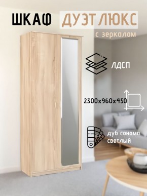 Шкаф 2-х створчатый Дуэт Люкс с зеркалом в Камышлове - kamyshlov.mebel24.online | фото 7