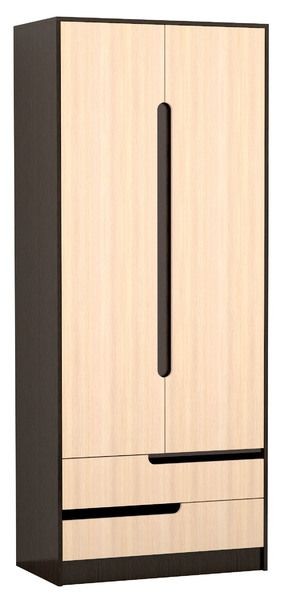 Шкаф 2-х створчатый Гавана в Камышлове - kamyshlov.mebel24.online | фото 1