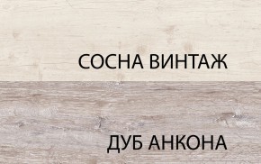 Шкаф 2DG2S, MONAKO, цвет Сосна винтаж/дуб анкона в Камышлове - kamyshlov.mebel24.online | фото