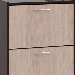 Шкаф для обуви ТО-24 в Камышлове - kamyshlov.mebel24.online | фото 4