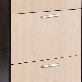 Шкаф для обуви УК-4 в Камышлове - kamyshlov.mebel24.online | фото 2
