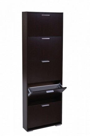 Шкаф для обуви УК-5 10000130 в Камышлове - kamyshlov.mebel24.online | фото