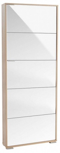 Шкаф для обуви Viva-5LW в Камышлове - kamyshlov.mebel24.online | фото