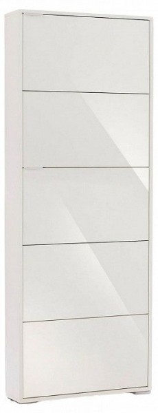 Шкаф для обуви Viva-5S в Камышлове - kamyshlov.mebel24.online | фото