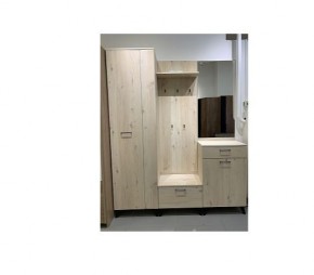Шкаф для одежды 2-х дверный София 1 в Камышлове - kamyshlov.mebel24.online | фото 6