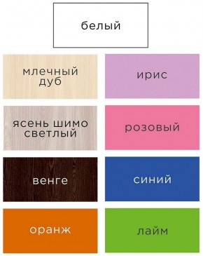 Шкаф ДМ 800 Малый (Ясень шимо) в Камышлове - kamyshlov.mebel24.online | фото 2