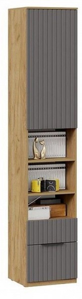 Шкаф комбинированный Хилтон Исп. 2 в Камышлове - kamyshlov.mebel24.online | фото 4