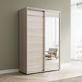 Шкаф-купе Акцент-Лайт ДЗ 1400-600 в Камышлове - kamyshlov.mebel24.online | фото 6