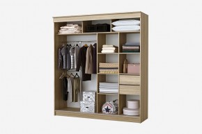 Шкаф-купе Фаворит 2.0 серия Альянс (дуб сонома) в Камышлове - kamyshlov.mebel24.online | фото 2