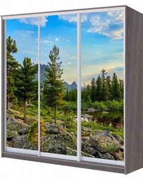 Шкаф-купе ХИТ 22-20/2-777 ПРИРОДА в Камышлове - kamyshlov.mebel24.online | фото
