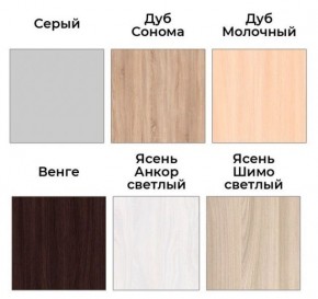 Шкаф-купе ХИТ 22-4-17-55 (420) в Камышлове - kamyshlov.mebel24.online | фото 3