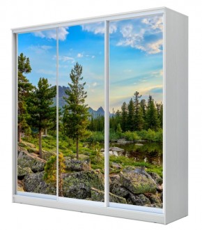 Шкаф-купе ХИТ 22-4-18-777 (420) в Камышлове - kamyshlov.mebel24.online | фото 1