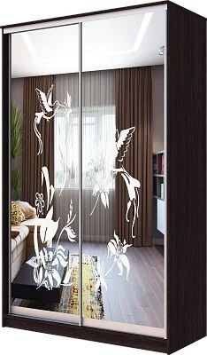 Шкаф-купе ХИТ 23-4-12/2-66 КОЛИБРИ в Камышлове - kamyshlov.mebel24.online | фото