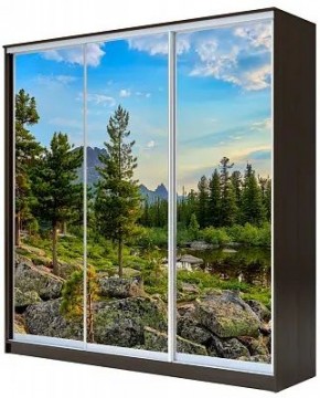 Шкаф-купе ХИТ 23-4-18-777 ПРИРОДА в Камышлове - kamyshlov.mebel24.online | фото