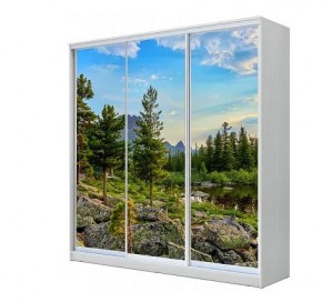 Шкаф-купе ХИТ 23-4-20-777 (420) в Камышлове - kamyshlov.mebel24.online | фото