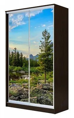 Шкаф-купе ХИТ 24-17-77 ПРИРОДА в Камышлове - kamyshlov.mebel24.online | фото