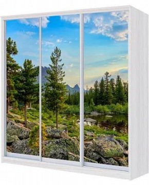 Шкаф-купе ХИТ 24-18/2-777 ПРИРОДА в Камышлове - kamyshlov.mebel24.online | фото