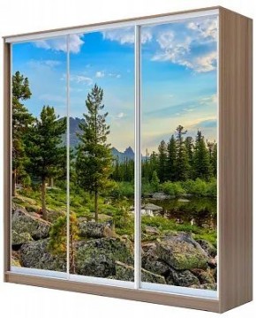 Шкаф-купе ХИТ 24-18-777 ПРИРОДА в Камышлове - kamyshlov.mebel24.online | фото