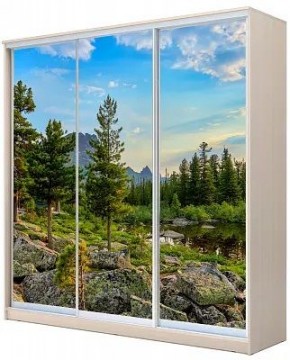 Шкаф-купе ХИТ 24-4-20-777 ПРИРОДА в Камышлове - kamyshlov.mebel24.online | фото