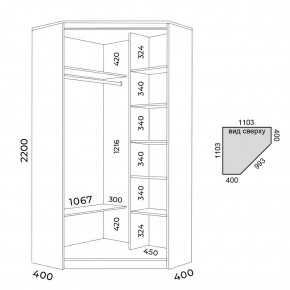 Шкаф-купе ХИТ-У-22-4-55 в Камышлове - kamyshlov.mebel24.online | фото 3