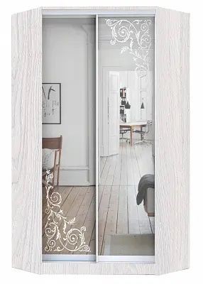 Шкаф-купе ХИТ-У-24-4-66 ОРНАМЕНТ в Камышлове - kamyshlov.mebel24.online | фото