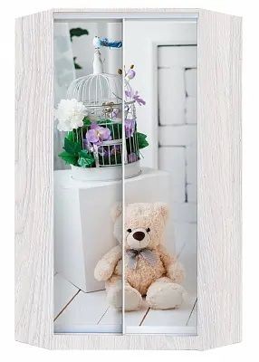 Шкаф-купе ХИТ-У-24-4-77 МИШКА В ИНТЕРЬЕРЕ в Камышлове - kamyshlov.mebel24.online | фото