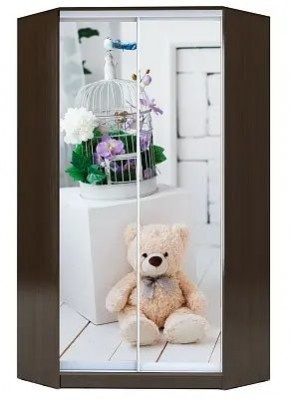 Шкаф-купе ХИТ-У-R-23-64-77 МИШКА В ИНТЕРЬЕРЕ в Камышлове - kamyshlov.mebel24.online | фото