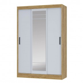 Шкаф-купе Тео ШКК-02 (крафт/белый) в Камышлове - kamyshlov.mebel24.online | фото 2