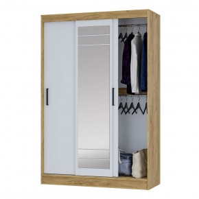 Шкаф-купе Тео ШКК-02 (крафт/белый) в Камышлове - kamyshlov.mebel24.online | фото 3