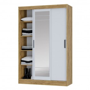 Шкаф-купе Тео ШКК-02 (крафт/белый) в Камышлове - kamyshlov.mebel24.online | фото 4