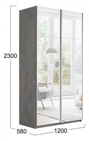 Шкаф-купе Траст СШК 2.120.60-13.13 в Камышлове - kamyshlov.mebel24.online | фото 3
