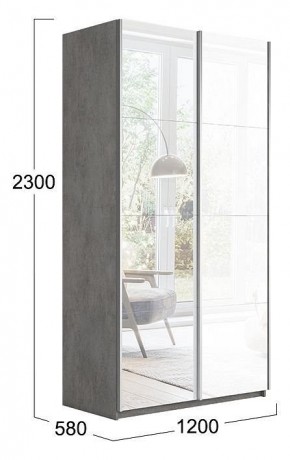 Шкаф-купе Траст СШК 2.120.60-13.15 в Камышлове - kamyshlov.mebel24.online | фото 3