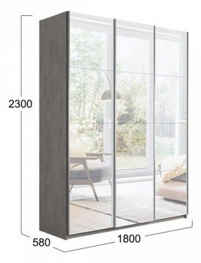 Шкаф-купе Траст СШК 2.180.60-13.13.13 в Камышлове - kamyshlov.mebel24.online | фото 3