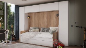Шкаф навесной Порто СМ-393.21.022-24 в Камышлове - kamyshlov.mebel24.online | фото 3