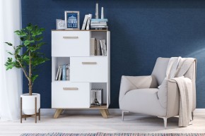 Шкаф низкий с нишами Вега Скандинавия в Камышлове - kamyshlov.mebel24.online | фото 4