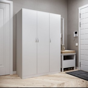 Шкаф ОРИОН трехдверный, цвет белый в Камышлове - kamyshlov.mebel24.online | фото 2