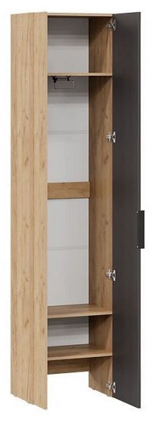 Шкаф платяной Асти в Камышлове - kamyshlov.mebel24.online | фото 2
