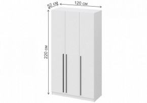 Шкаф платяной Бирма ШК-1200 в Камышлове - kamyshlov.mebel24.online | фото 4