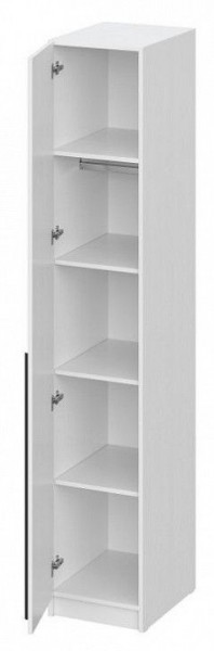 Шкаф платяной Бирма ШК-400 в Камышлове - kamyshlov.mebel24.online | фото 2