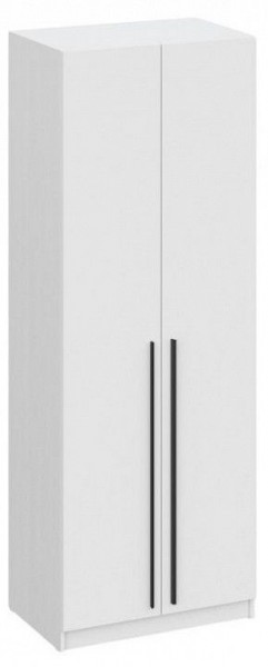 Шкаф платяной Бирма ШК-800 в Камышлове - kamyshlov.mebel24.online | фото